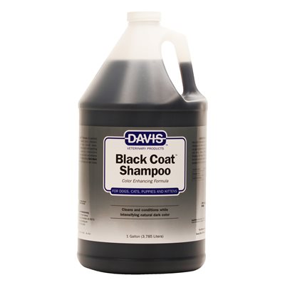 Black Coat Shampoo, Gallon