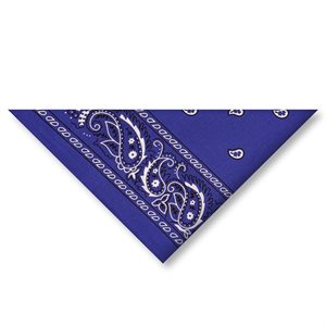 Paisley Bandannas - Periwinkle