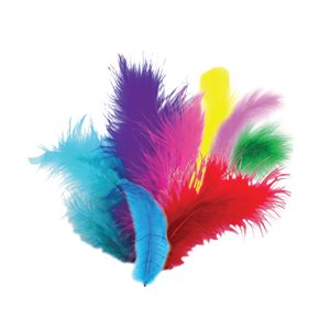 Feathers - FunBurst Color Pack